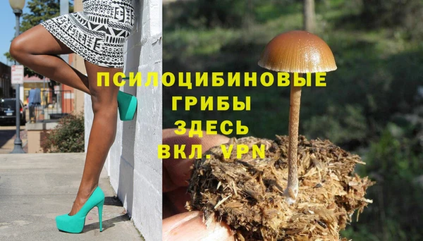 соль курить ск Михайловск