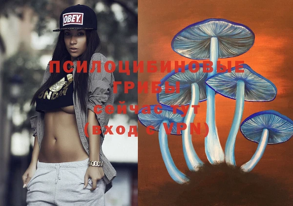 твердый Михайловка
