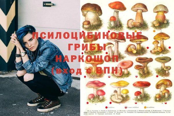 твердый Михайловка