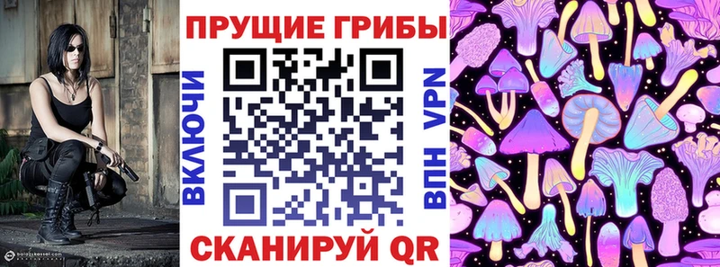наркота  Щучье  Псилоцибиновые грибы прущие грибы 